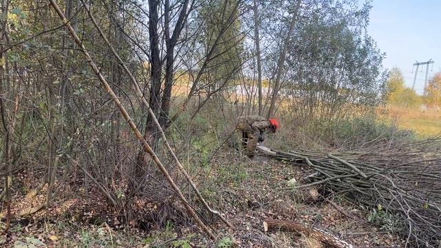 Расчистка участка от кустов и деревьев в Жуково