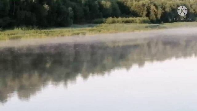 Велопрогулка