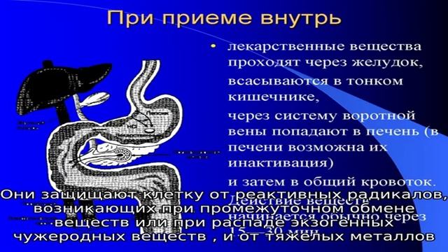 Тиолепта® инструкция по применению лекарственного препарата