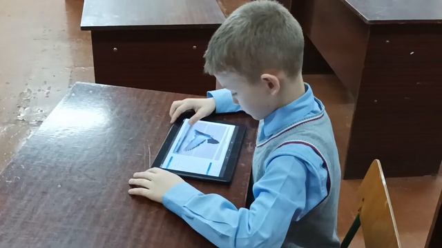 Первые шаги в экологию