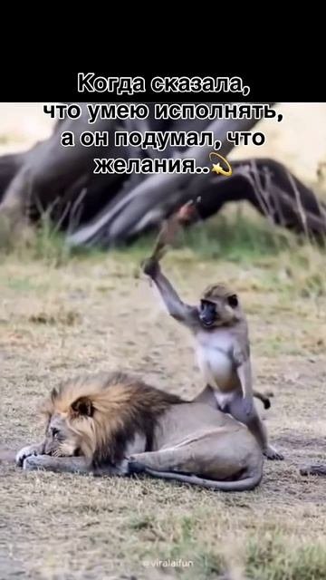 Дикая природа! 😄🌿🌲  #Природа #Дикаяжизнь #Красота #юмор