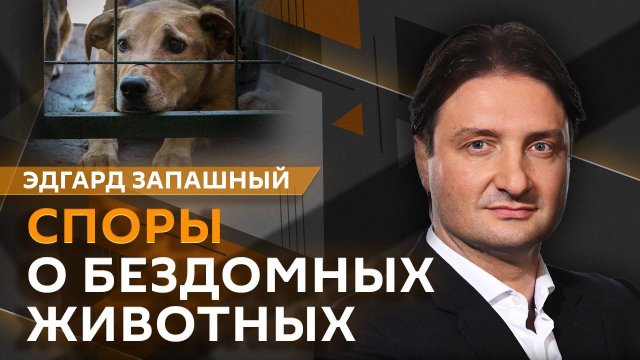 Эдгард Запашный. Мыло из собак, вспышки на Солнце, права мух и приюты в зоне СВО