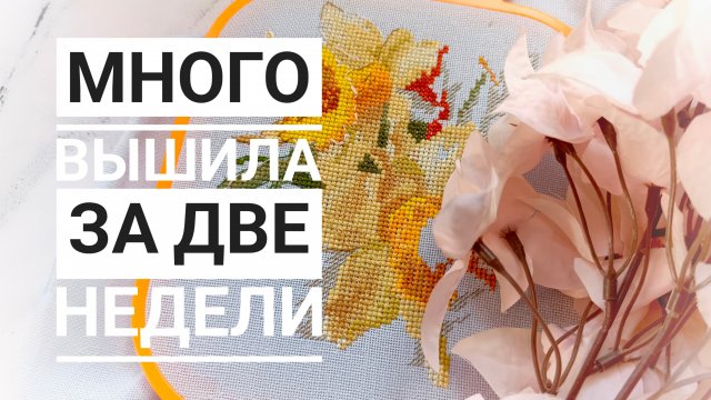 Продвижения за ДВЕ НЕДЕЛИ | Много вышивки | Вышивка крестом