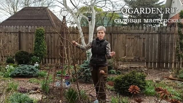 Опора для плетистой розы.