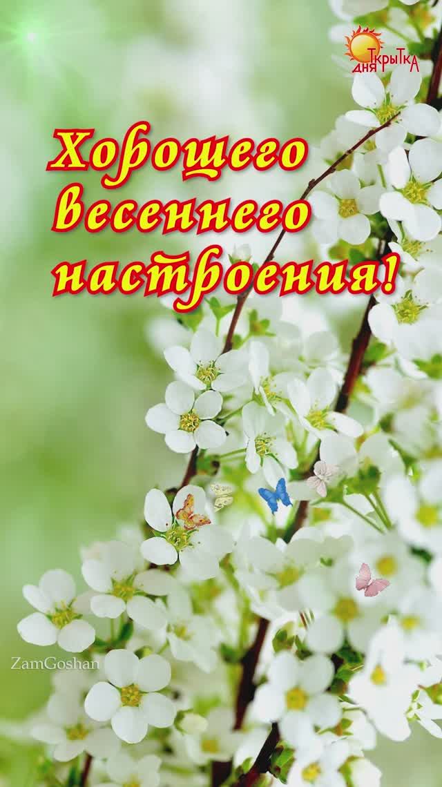 Открытка с пожеланием / Хорошего дня!