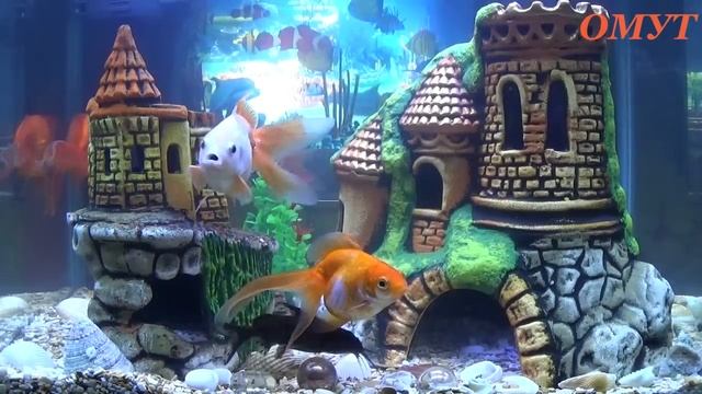 141.ОТБИВНОЙ ЗАГОВОР.И ВАШИ КОММЕНТЫ ДРУЗЬЯ