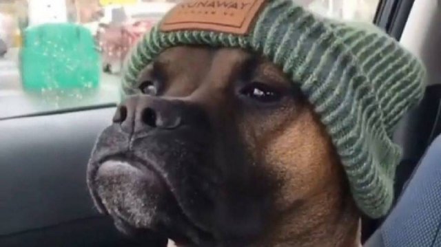 Не отыграл жетончик...