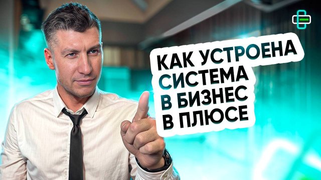 Как устроена система в бизнес в плюсе