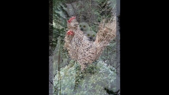 Садовые фигуры