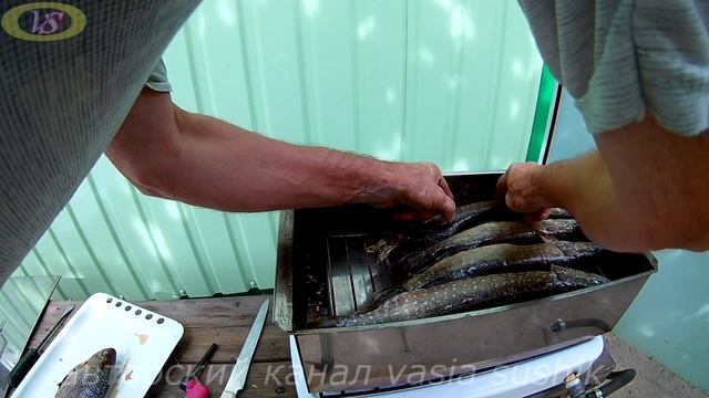 Копчение рыбы в домашних условиях.Копчение рыбы в коптильне.Сколько коптить рыбу в коптильне