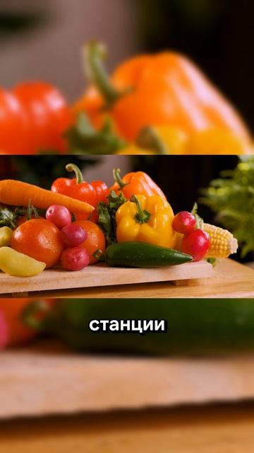 Смотреть всем