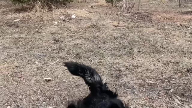 Фил.mp4