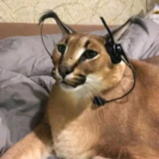 может быть это моё последнее видео ☹️☹️☹️