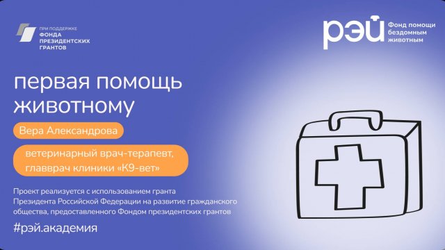 Первая помощь животному