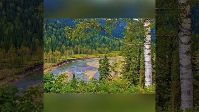 Музыка природы