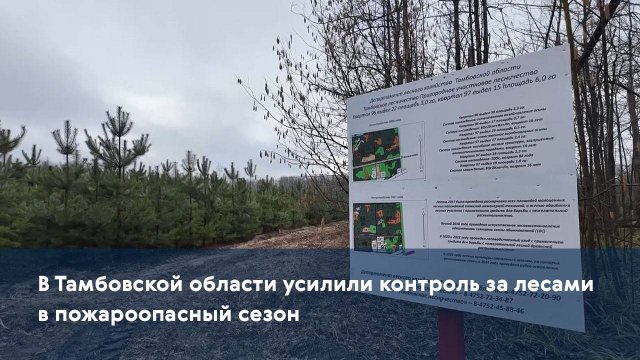 В Тамбовской области усилили контроль за лесами в пожароопасный сезон