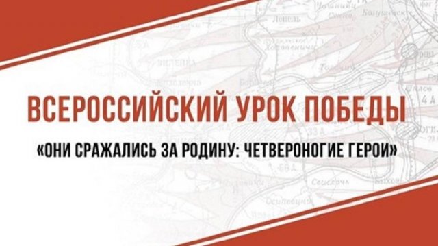 АКТИВИСТЫ ДВИЖЕНИЯ ПЕРВЫХ МБОУ "ГИМНАЗИЯ №1" УЧАСТВУЮТ В КОНКУРСЕ ПЕРВИЧНЫХ ОТДЕЛЕНИЙ