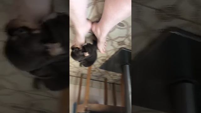 VID_20250324_084755_138.mp4