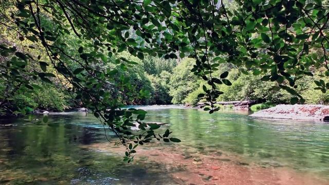 Звуки природы: Река, Птицы и Солнце для Релаксации Смотреть онлайн бесплатно