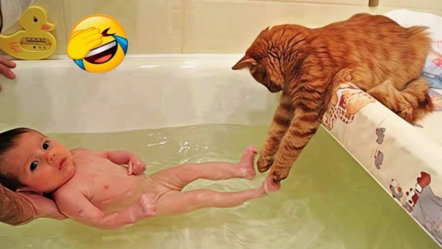 Приколы с животными🤗 Смешные видео про животных 🤗СМЕШНОЕ ВИДЕО😍 Наши любимые смешные животные