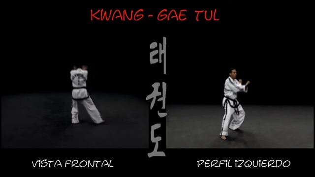 1 Дан, Кван Гэ черный пояс, Kwang Gae тхэквондо taekwondo таэквондо