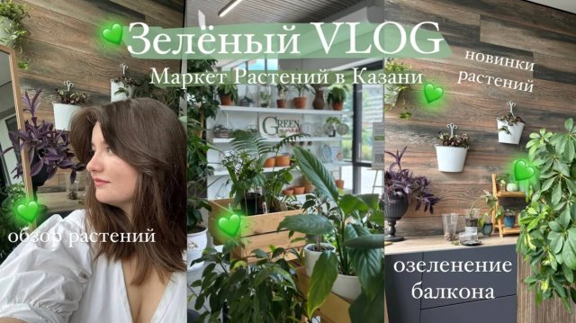Маркет Растений | гуляю и покупаю растения, озеленяю балкон || Зелёный VLOG