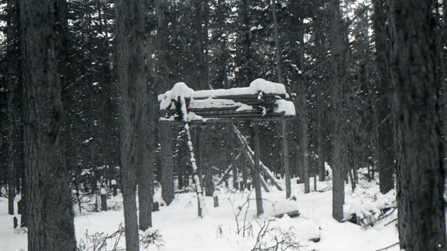 Группа Дятлова. Виноваты ли Манси