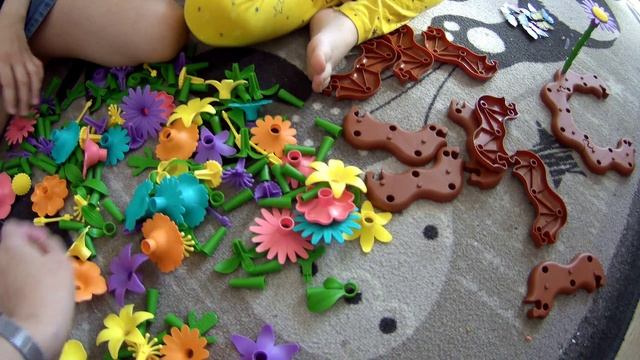 Клумба с цветами в квартире!