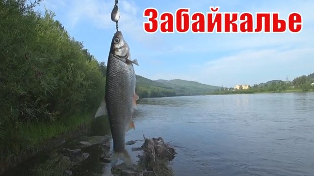 Рыбалка в Забайкалье река Ингода