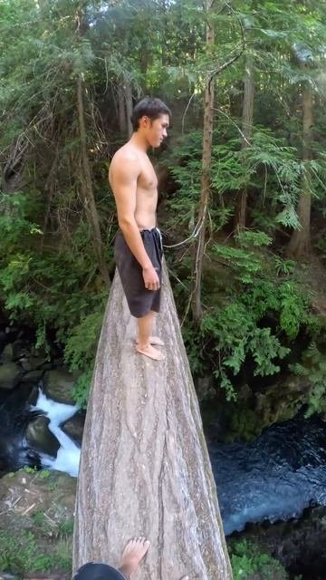 прыжки в реку. https://t.me/vasakunt #funny #trending #animals #shorts #the #🤣🤣🤣