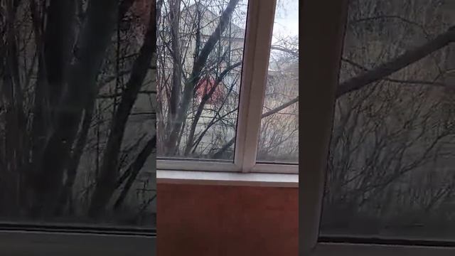 г. Лиски переулок Чехова д. 12