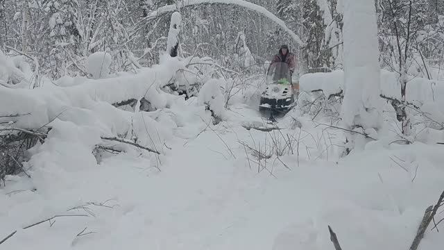 Чуть не утопил БУРАН. Лосиные солонцы.