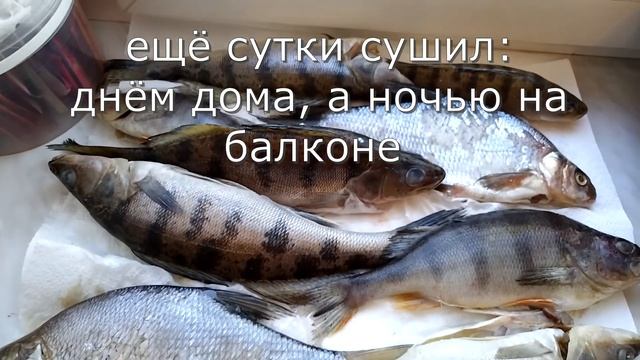 Рыба горячего копчения засол в тузлуке
