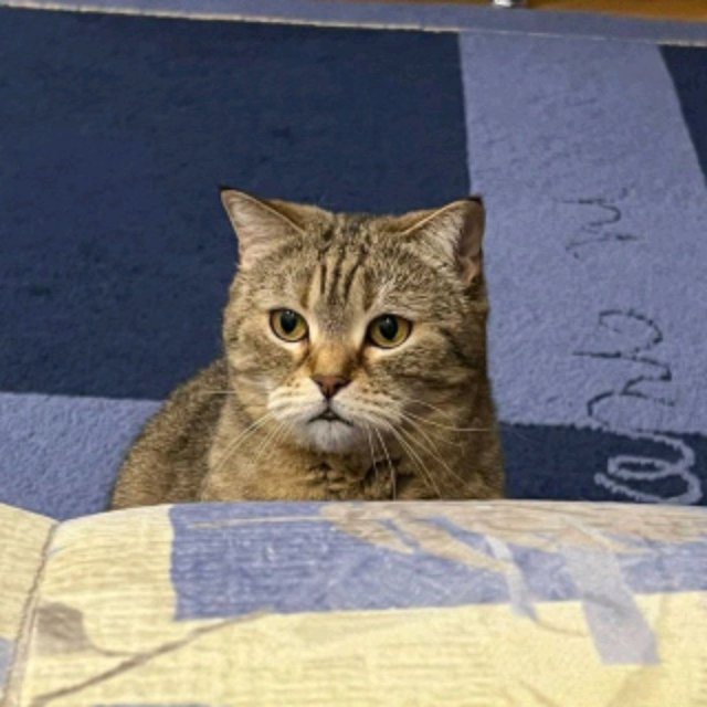 у меня стрим