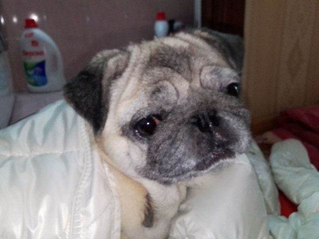 кушаю делаю уроки
тг пурина мир: ТГ PURINAMIR
мой: граффитичелик