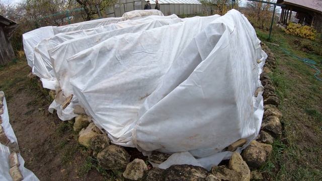 Идеальное укрытие для роз. Часть 2