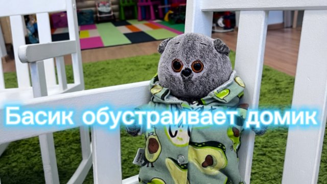 Басик обустраивает свой дом