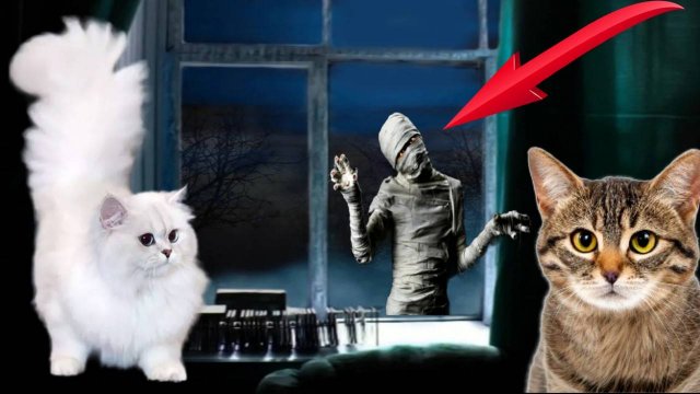 ЧЕЛОВЕК В БИНТАХ ЗА МОИМ ОКНОМ - ПРЯЧЬСЯ!