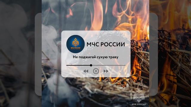МЧС России