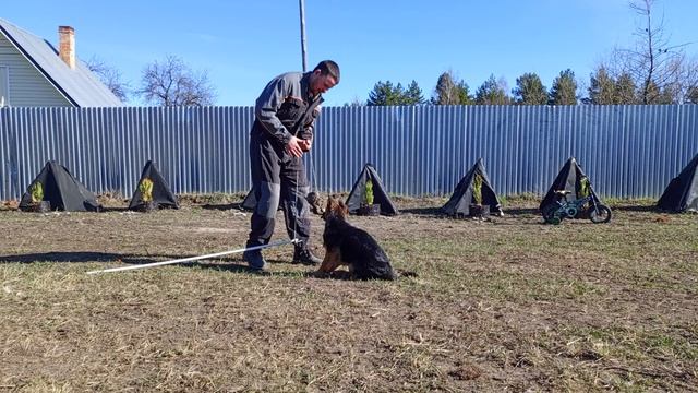 1000061895.mp4