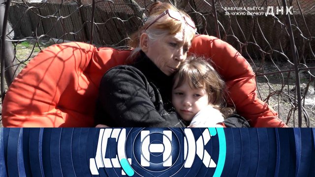 «ДНК»: «Бабушка бьется за чужую внучку?» | Выпуск от 3 апреля 2025 года