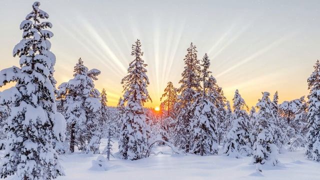 Таежный черт. Страшная история про тайгу