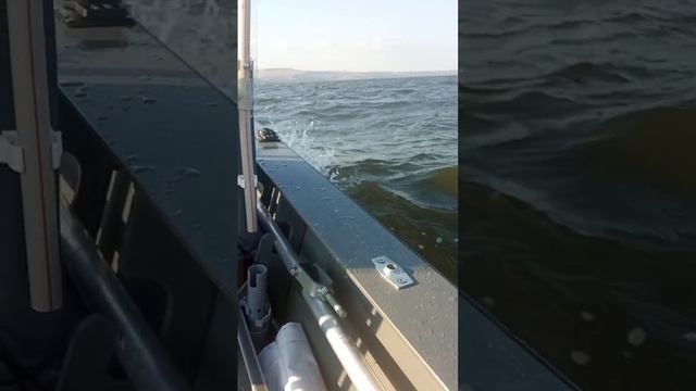 Лодка свиммер 370  небольшая волна