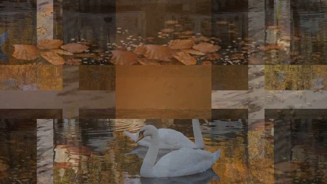 Осенняя мелодия!