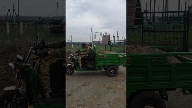 Транспорт нам в помощь!