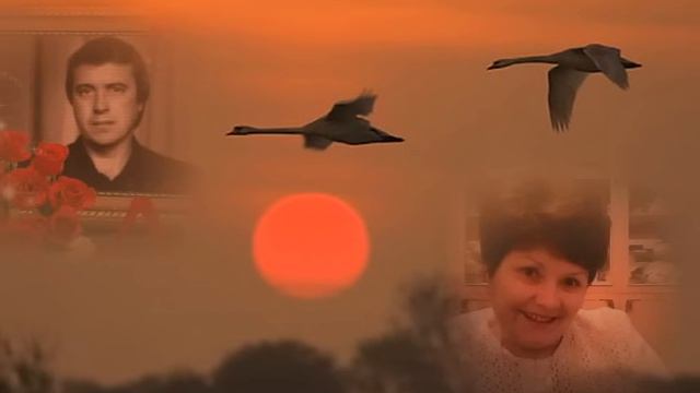 ЛЕБЕДИ ЛЕТЯТ. Природа.