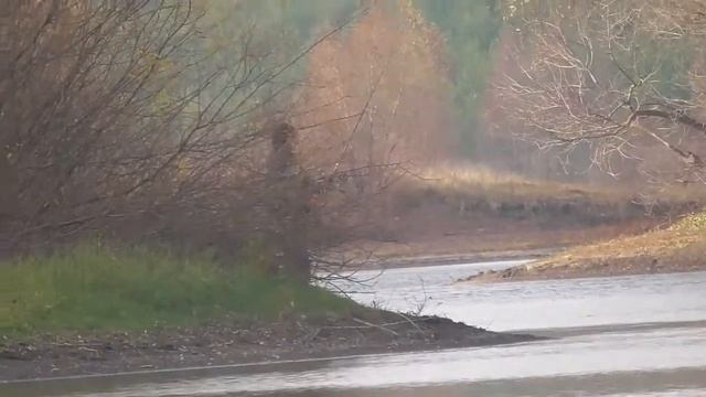 Рыбалка на реке