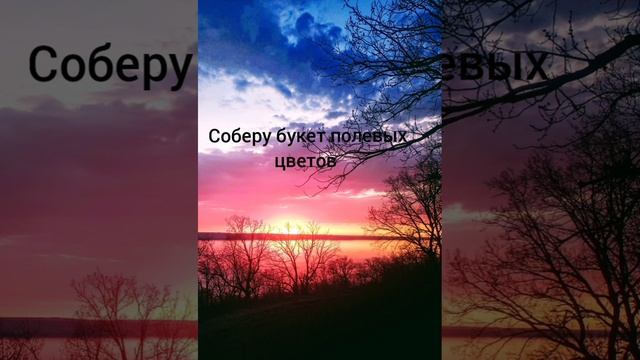 Текст песни "Я приду когда зацветёт весна..."