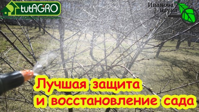 СРОЧНО защититься от возвратных холодов. Защита и восстановление сада: деревьев, кустов, земляники.