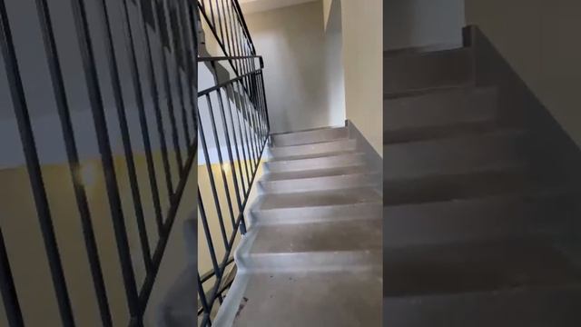 Цветы Башкирии